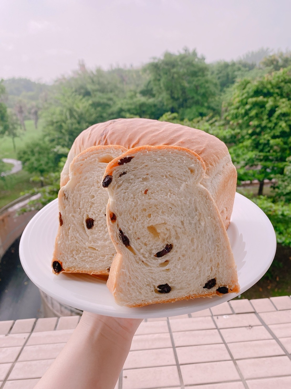 烘焙丙級(麵包)證照輔導 3月實作班